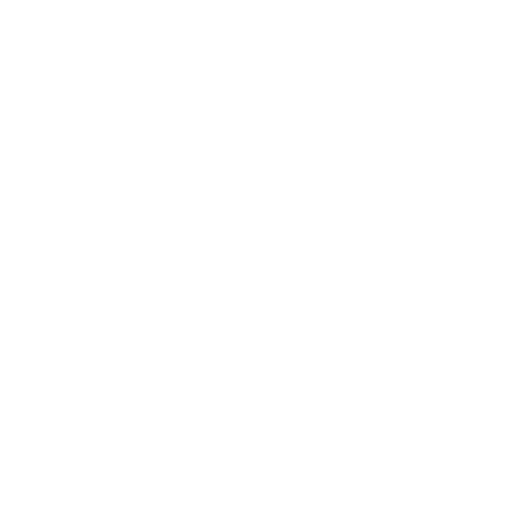 Global Network Icon